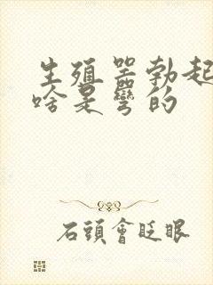 生殖器勃起时为啥是弯的