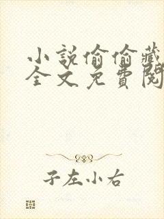 小说偷偷藏不住全文免费阅读