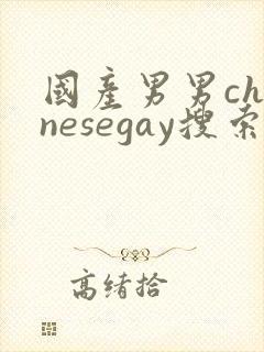 国产男男chinesegay搜索