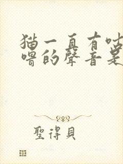 猫一直有咕噜咕噜的声音是怎么回事封面