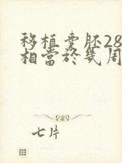 移植囊胚28天相当于几周