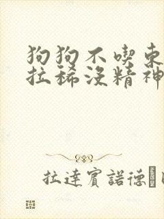 狗狗不吃东西还拉稀没精神怎么办