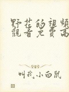 野花的视频在线观看免费高清