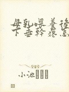 母乳喂养后乳房下垂干瘪怎么办