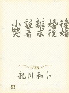 小说离婚后前夫哭着求复婚在线观看