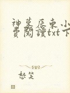 神墓辰东小说免费阅读txt下载