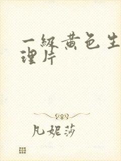 一级黄色生活伦理片