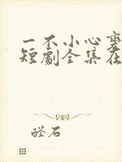一不小心变成你短剧全集在线观看