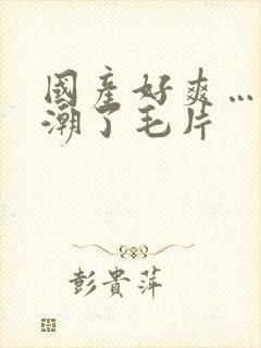 国产好爽…又高潮了毛片