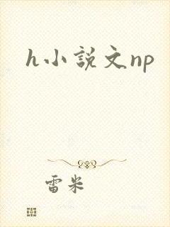 h小说文np