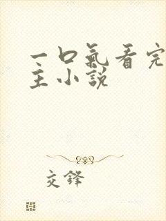 一口气看完双男主小说