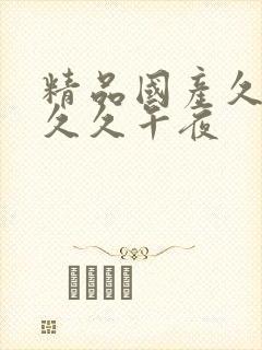 精品国产久久久久久午夜