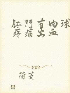 肛门有肉球突出疼痛出血