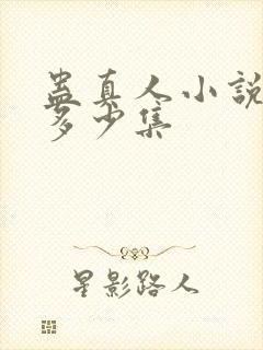 蛊真人小说一共多少集