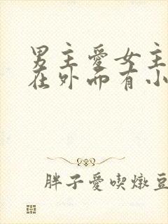 男主爱女主但是在外面有小三的小说