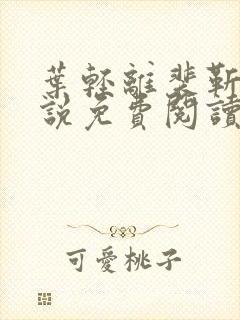 叶轻离裴靳墨小说免费阅读无弹窗