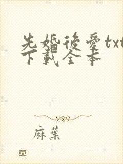 先婚后爱txt下载全本