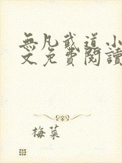 无凡武道小说全文免费阅读