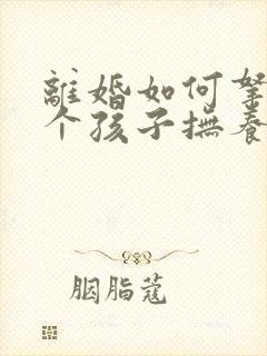 离婚如何拿到两个孩子抚养权