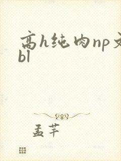 高h纯肉np文bl