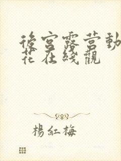 后宫露营动漫樱花在线观