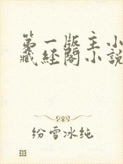 第一版主小说网藏经阁小说网