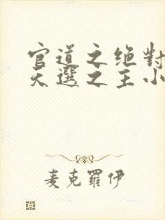 官道之绝对权力天选之主小说电子书