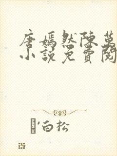 唐嫣然陈万里的小说免费阅读