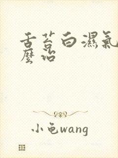 舌苔白湿气重怎么治