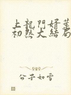 上龙门婿叶辰萧初然大结局封面