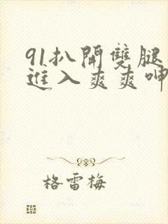 91扒开双腿猛进入爽爽呻吟网站封面