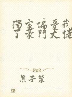 独家偏爱我闪婚了豪门大佬封面