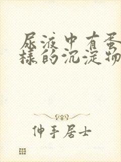 尿液中有蛋清一样的沉淀物