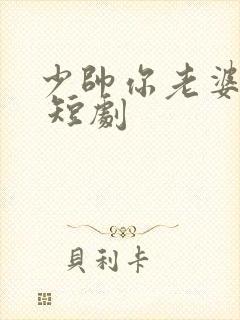 少帅你老婆又跑 短剧