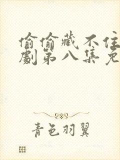 偷偷藏不住广播剧第八集免费