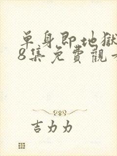 单身即地狱5第8集免费观看