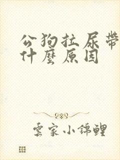 公狗拉尿带血是什么原因