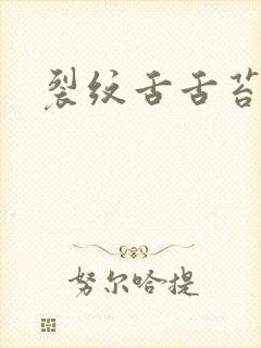 裂纹舌舌苔黄腻