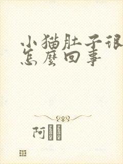 小猫肚子很胀是怎么回事