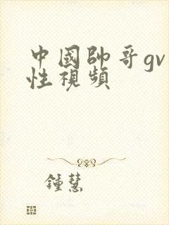 中国帅哥gv同性视频