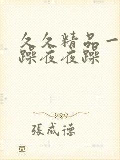 久久精品一日日躁夜夜躁