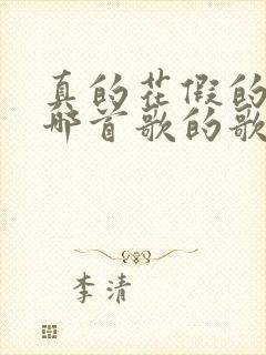 真的花假的花是哪首歌的歌词