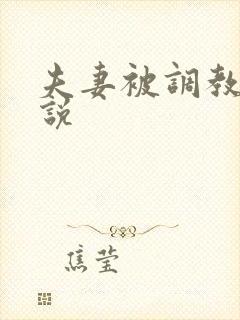 夫妻被调教的小说