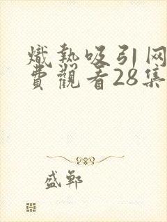 炽热吸引网剧免费观看28集