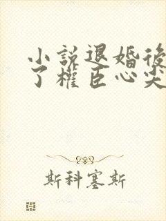 小说退婚后我成了权臣心尖宠