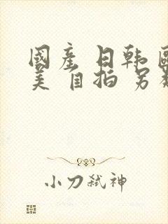 国产 日韩 殴美 自拍 另类