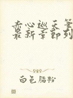 赤心巡天笔趣阁最新章节列表封面