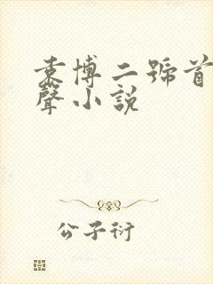 袁博二号首长有声小说