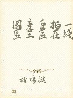 国产自拍一区二区三区在线