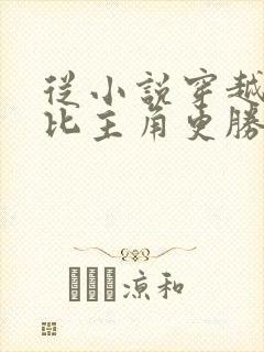 从小说穿越,我比主角更胜一筹免费阅读